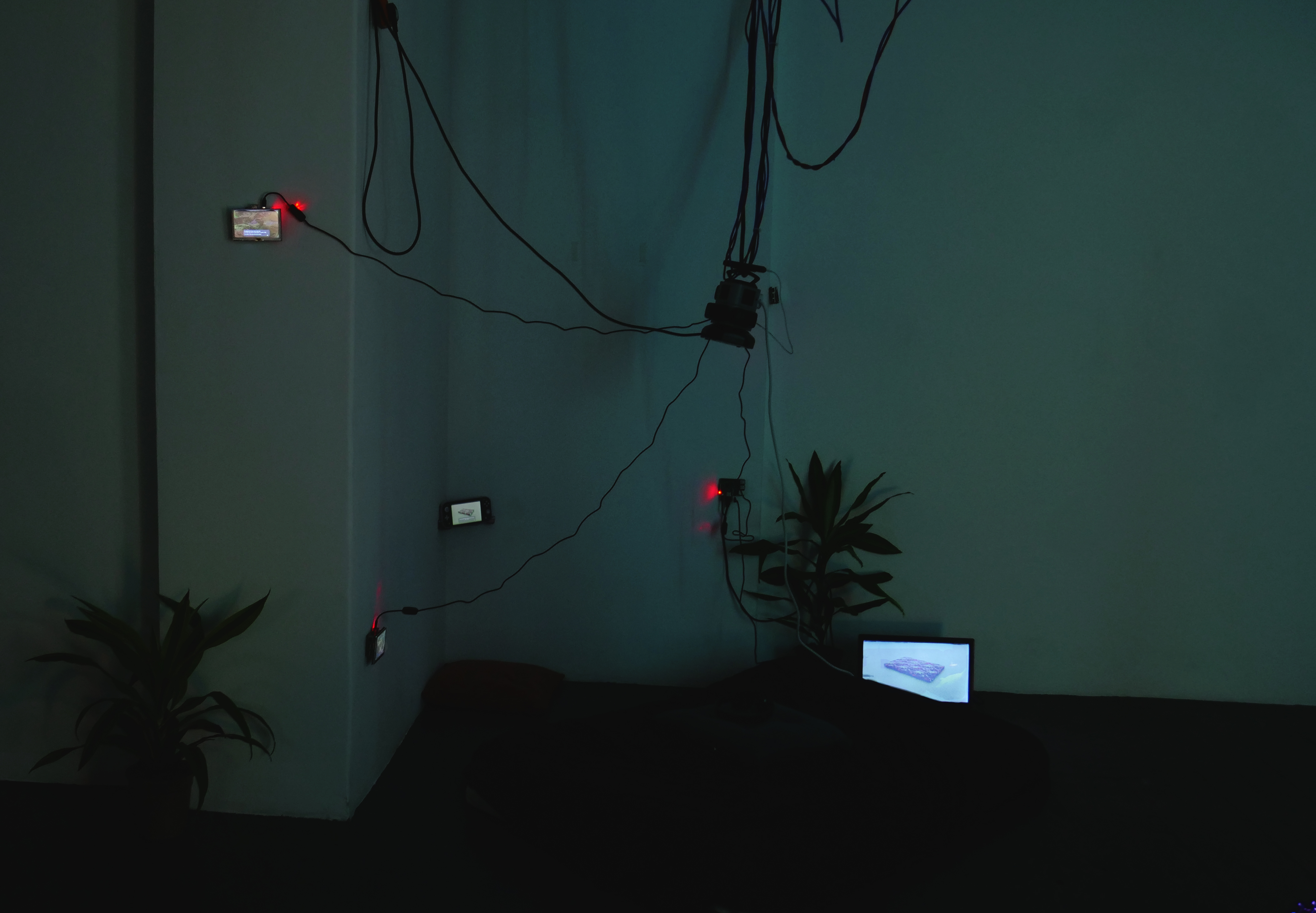 art installation in the corner between two walls, with plants on the left and right side of the walls on the floor, four small screens on the walls and cables connecting to a power bank hanging from the ceiling in the middle
